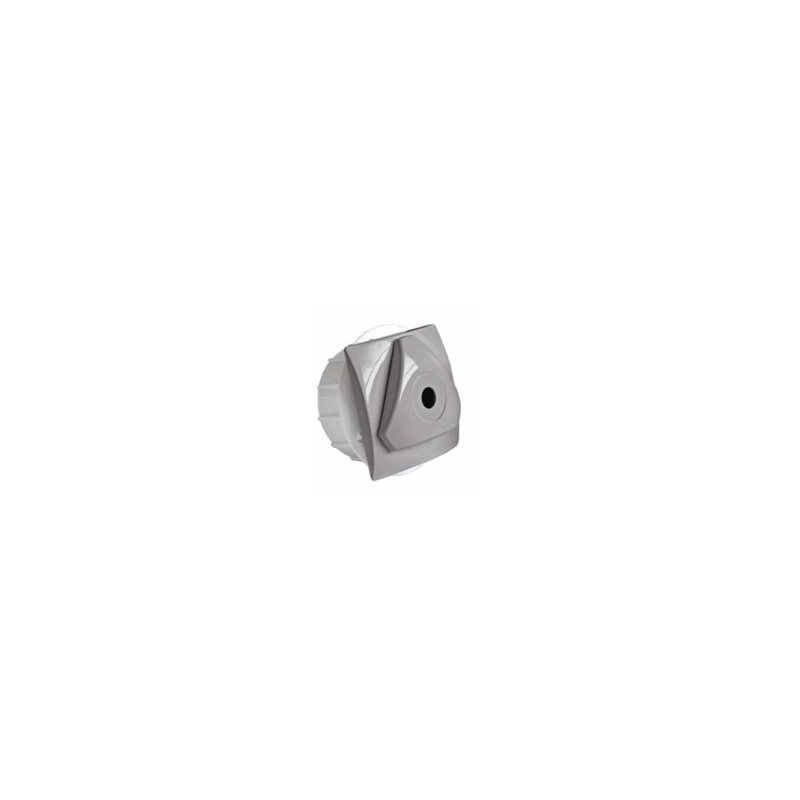 Buse de refoul complète avec Jet Orientable complète  - Gris à visser 1''½ Béton/Liner et Panneau/Liner